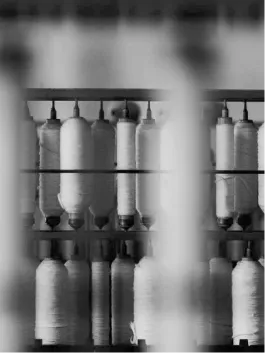 Supplier & Customer Database